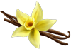 logo1 logo1