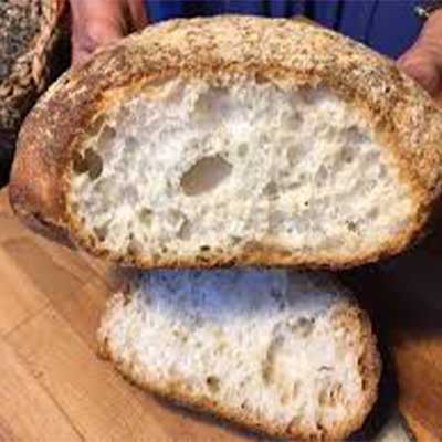 panevegan